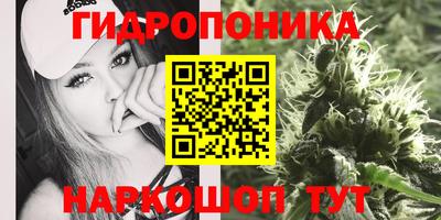 стафф Тула