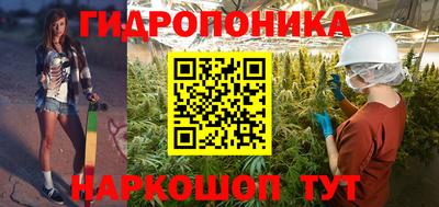 индика Тулун