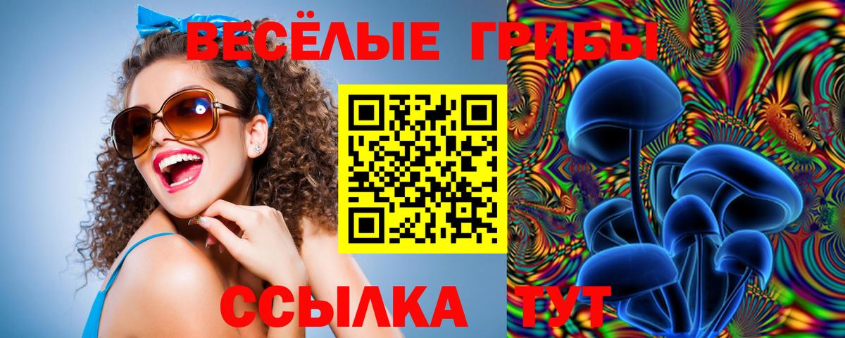 Галлюциногенные грибы мицелий Новошахтинск