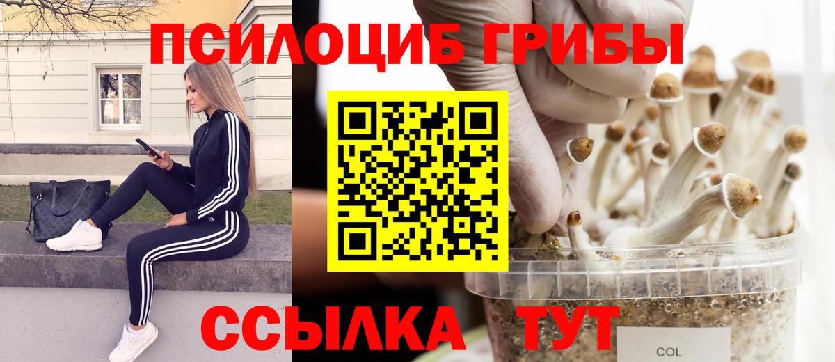 Меф Новошахтинск