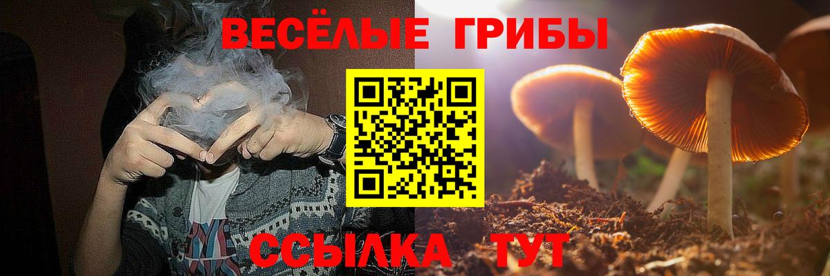 Псилоцибиновые грибы GOLDEN TEACHER  купить наркотики сайты  Новошахтинск  Вход с VPN 